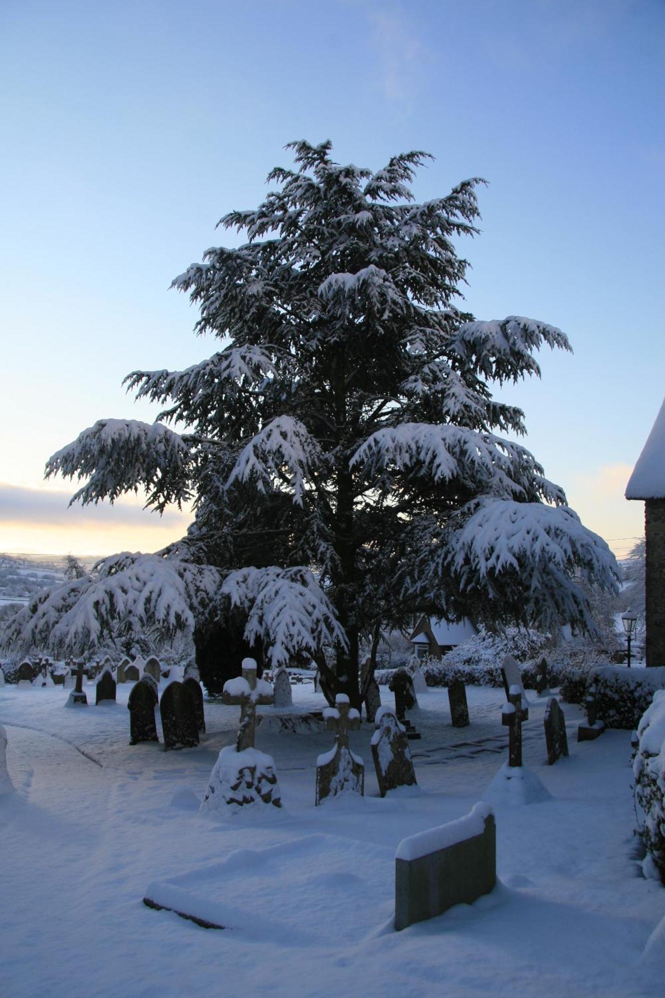 The Belfry At Yarcombe Bed and Breakfast Exteriör bild